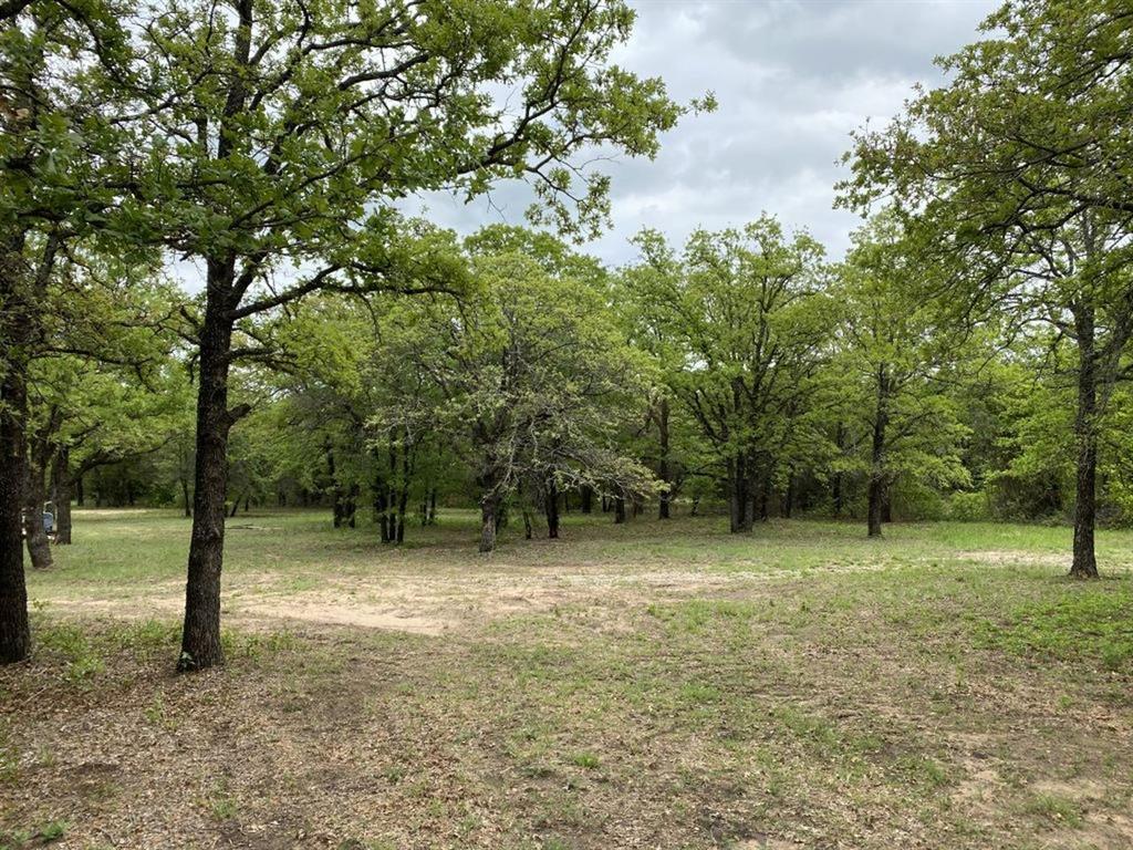 24.99 Acres, James Winn Survey, A-868 - Farm