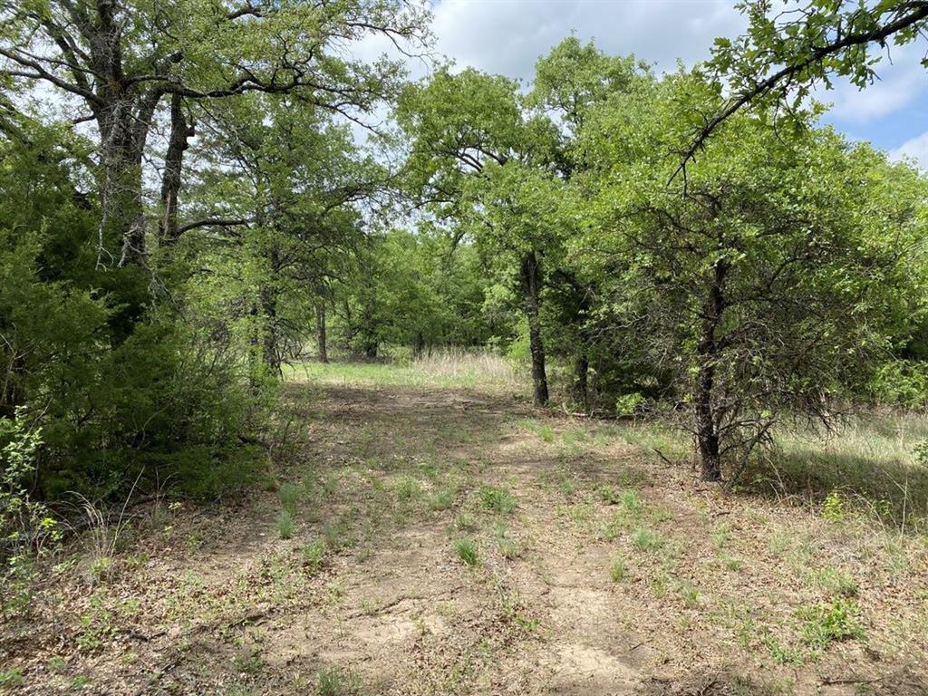 24.99 Acres, James Winn Survey, A-868 - Farm