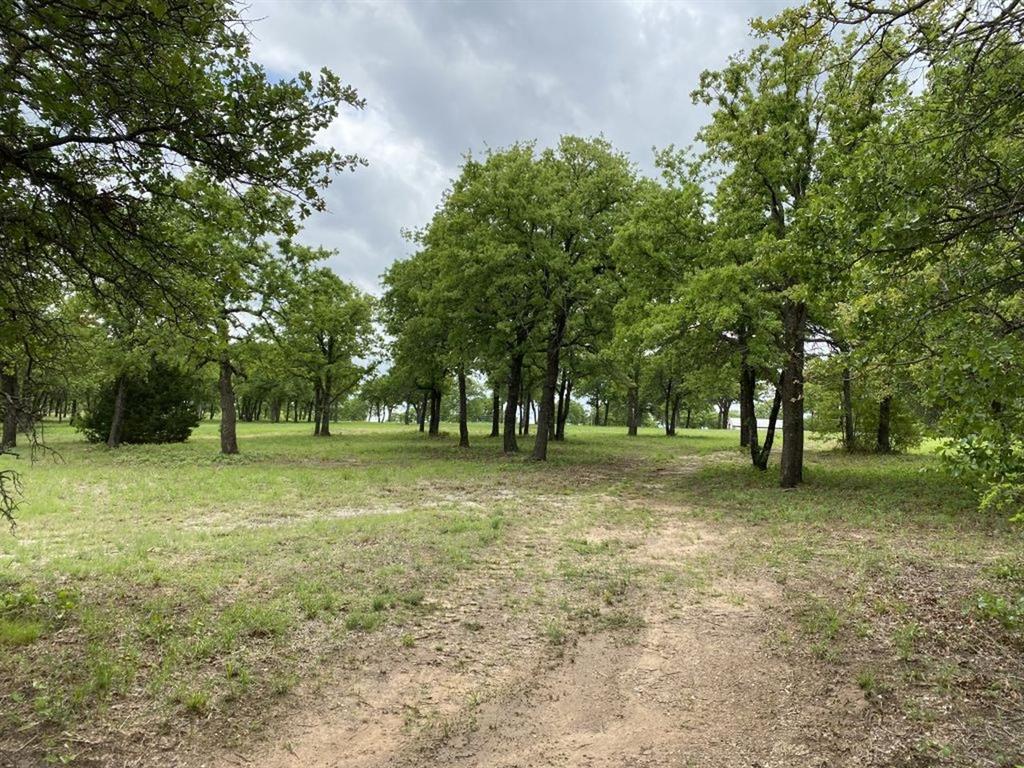 24.99 Acres, James Winn Survey, A-868 - Farm