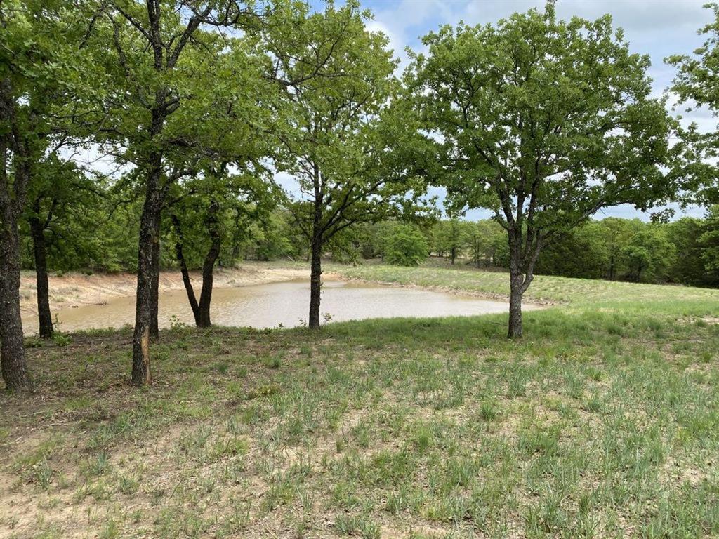 24.99 Acres, James Winn Survey, A-868 - Farm