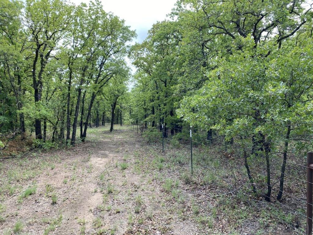 24.99 Acres, James Winn Survey, A-868 - Farm
