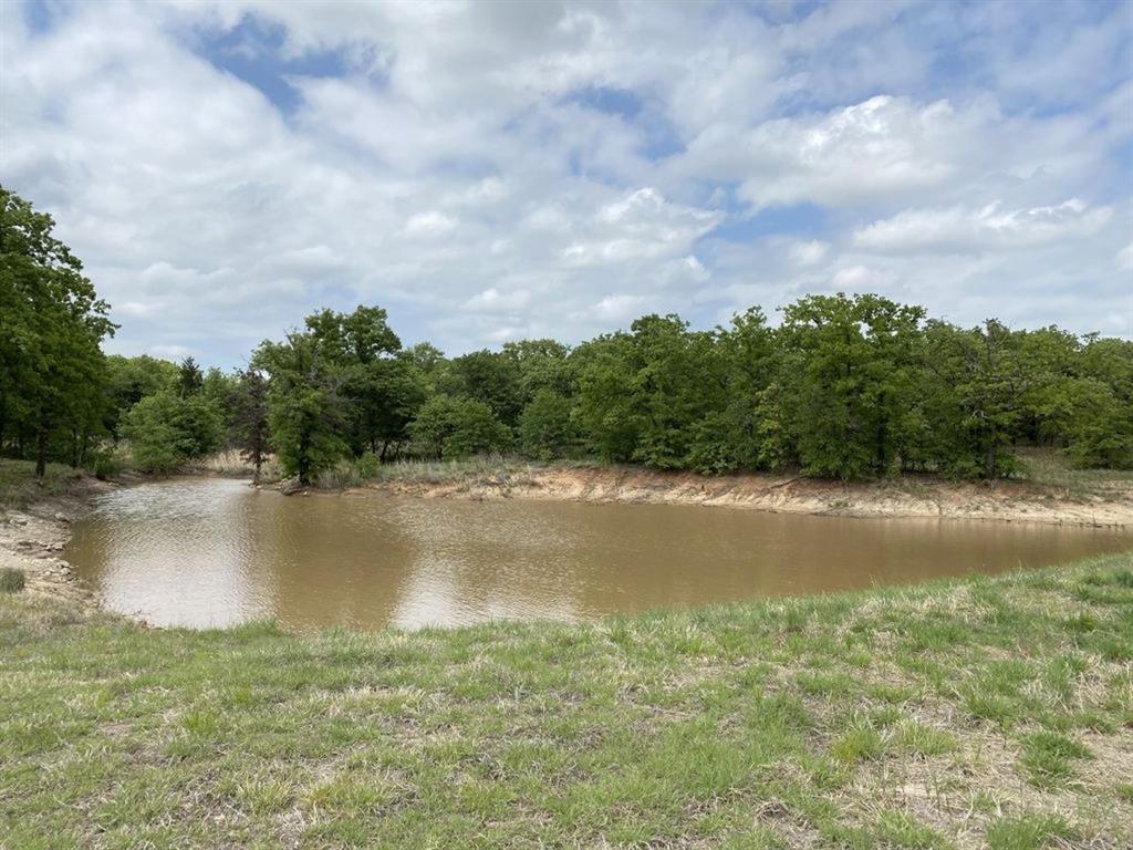 24.99 Acres, James Winn Survey, A-868 - Farm