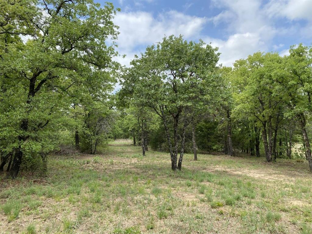 24.99 Acres, James Winn Survey, A-868 - Farm