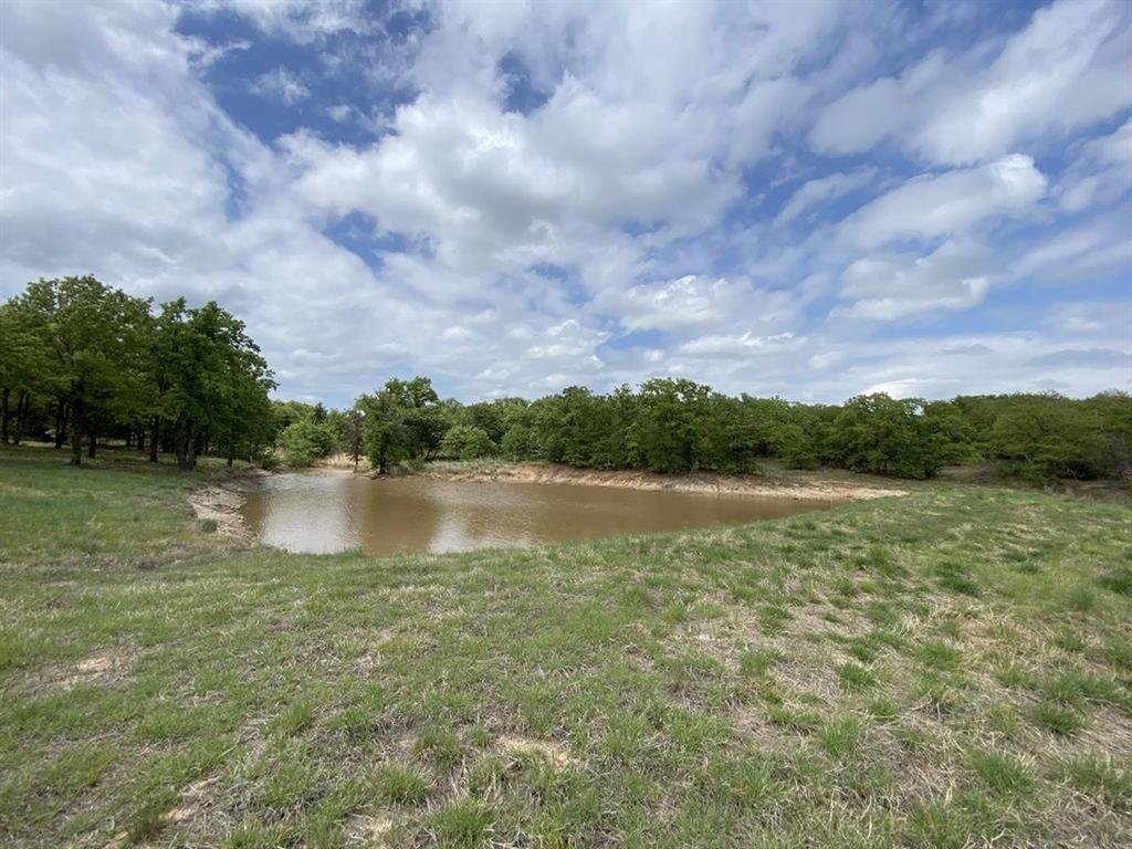 24.99 Acres, James Winn Survey, A-868 - Farm