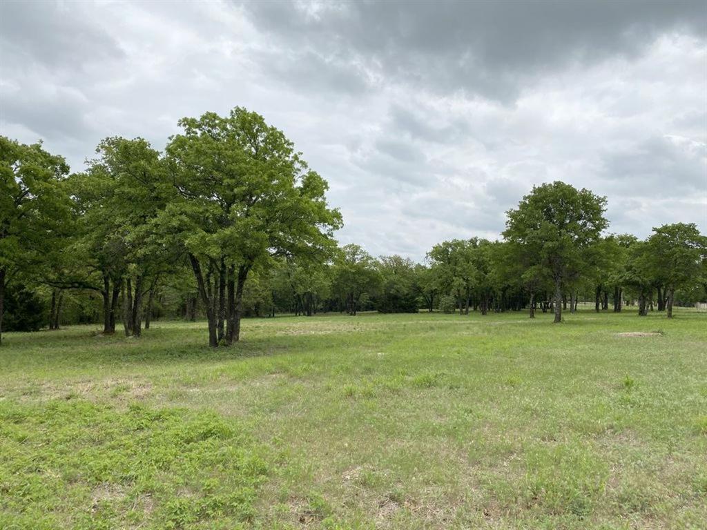 24.99 Acres, James Winn Survey, A-868 - Farm