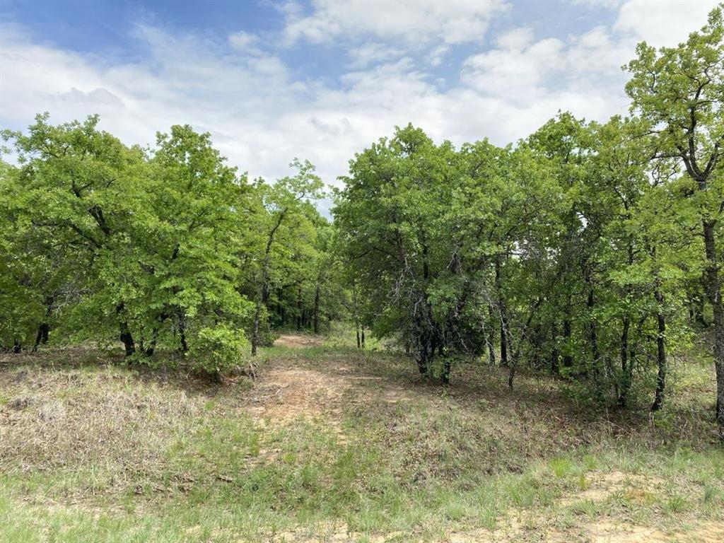 24.99 Acres, James Winn Survey, A-868 - Farm