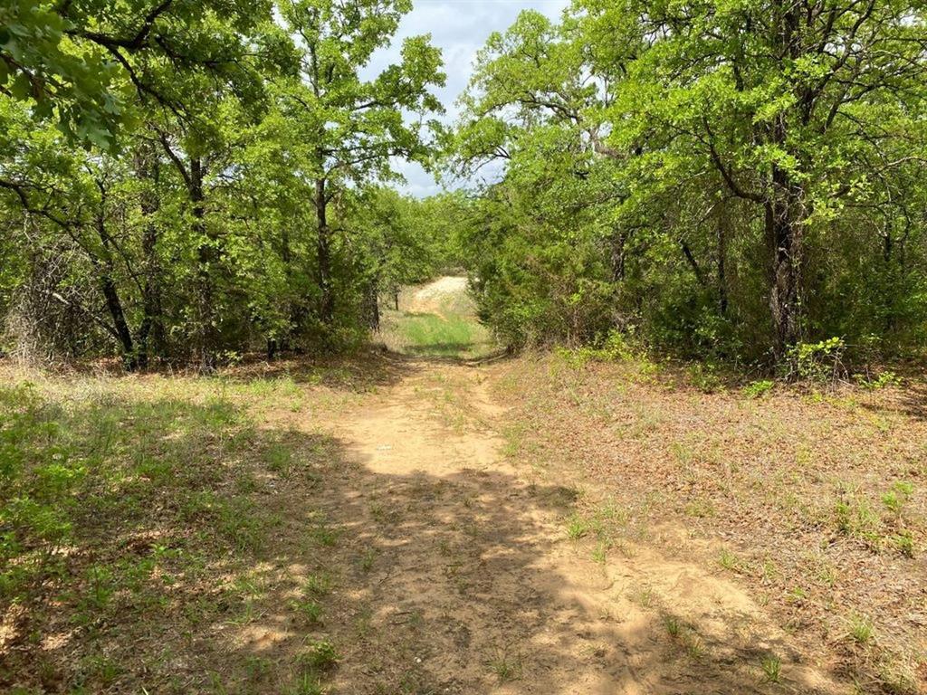 24.99 Acres, James Winn Survey, A-868 - Farm