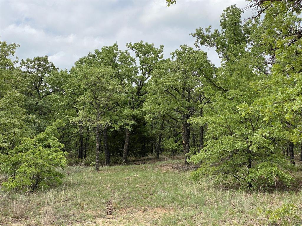 24.99 Acres, James Winn Survey, A-868 - Farm