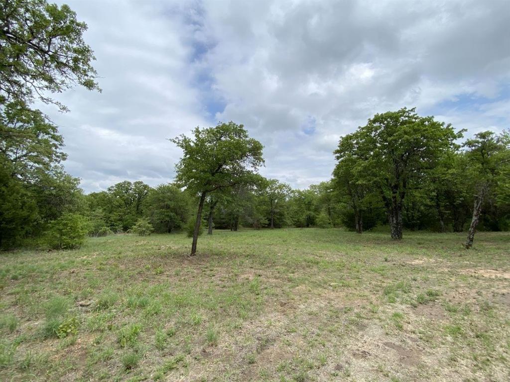 24.99 Acres, James Winn Survey, A-868 - Farm