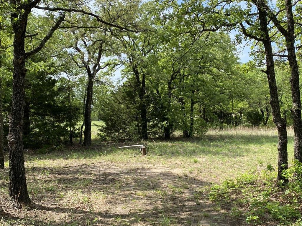 24.99 Acres, James Winn Survey, A-868 - Farm