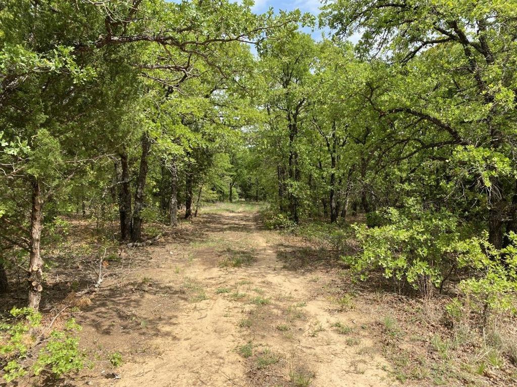 24.99 Acres, James Winn Survey, A-868 - Farm