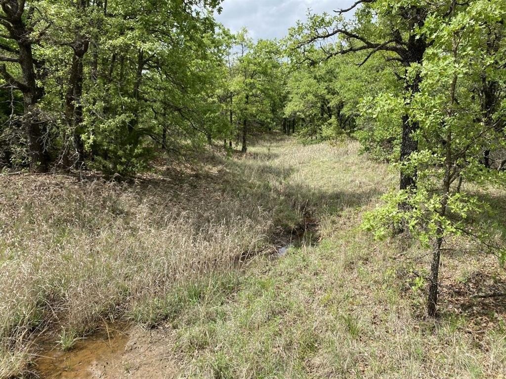 24.99 Acres, James Winn Survey, A-868 - Farm