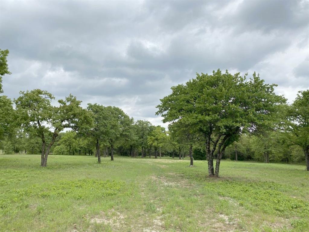 24.99 Acres, James Winn Survey, A-868 - Farm