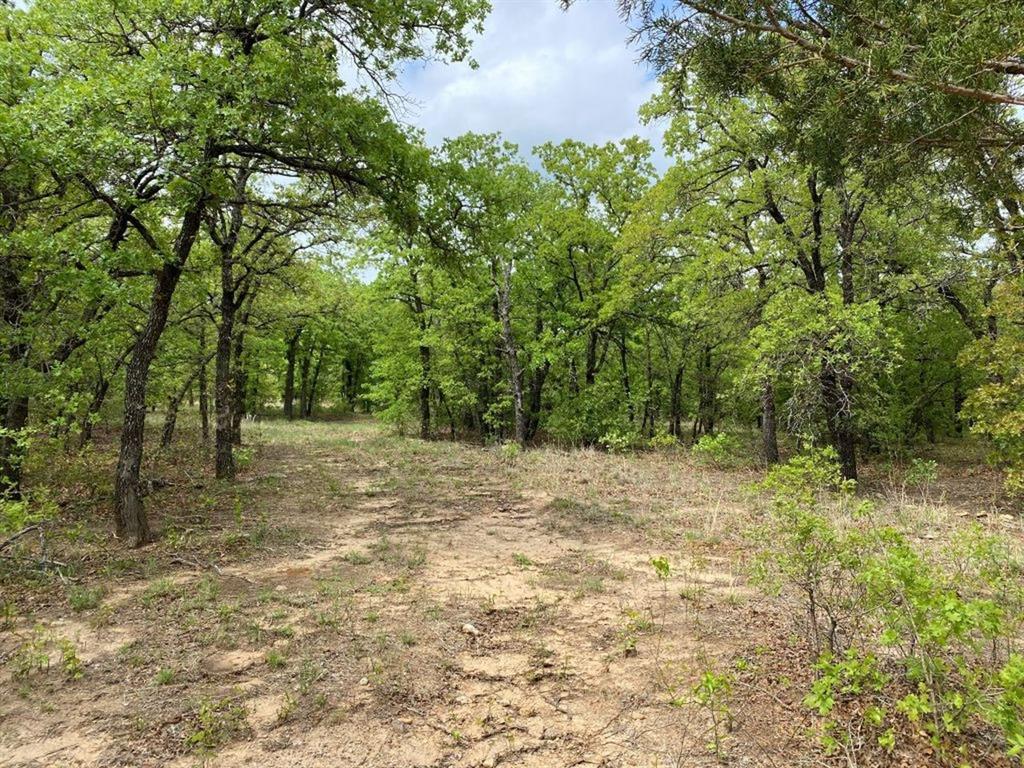 24.99 Acres, James Winn Survey, A-868 - Farm