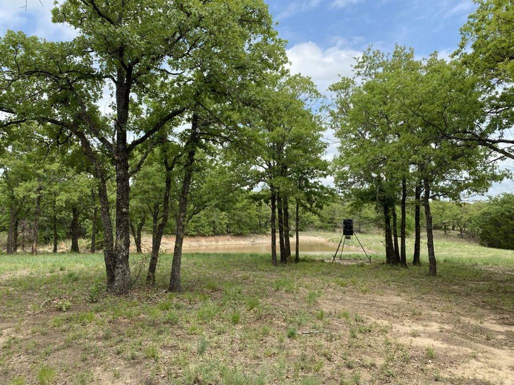 24.99 Acres, James Winn Survey, A-868 - Farm