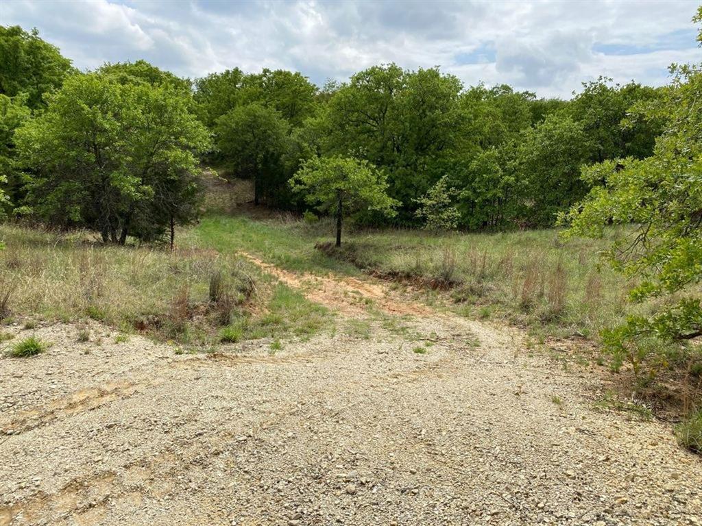 24.99 Acres, James Winn Survey, A-868 - Farm