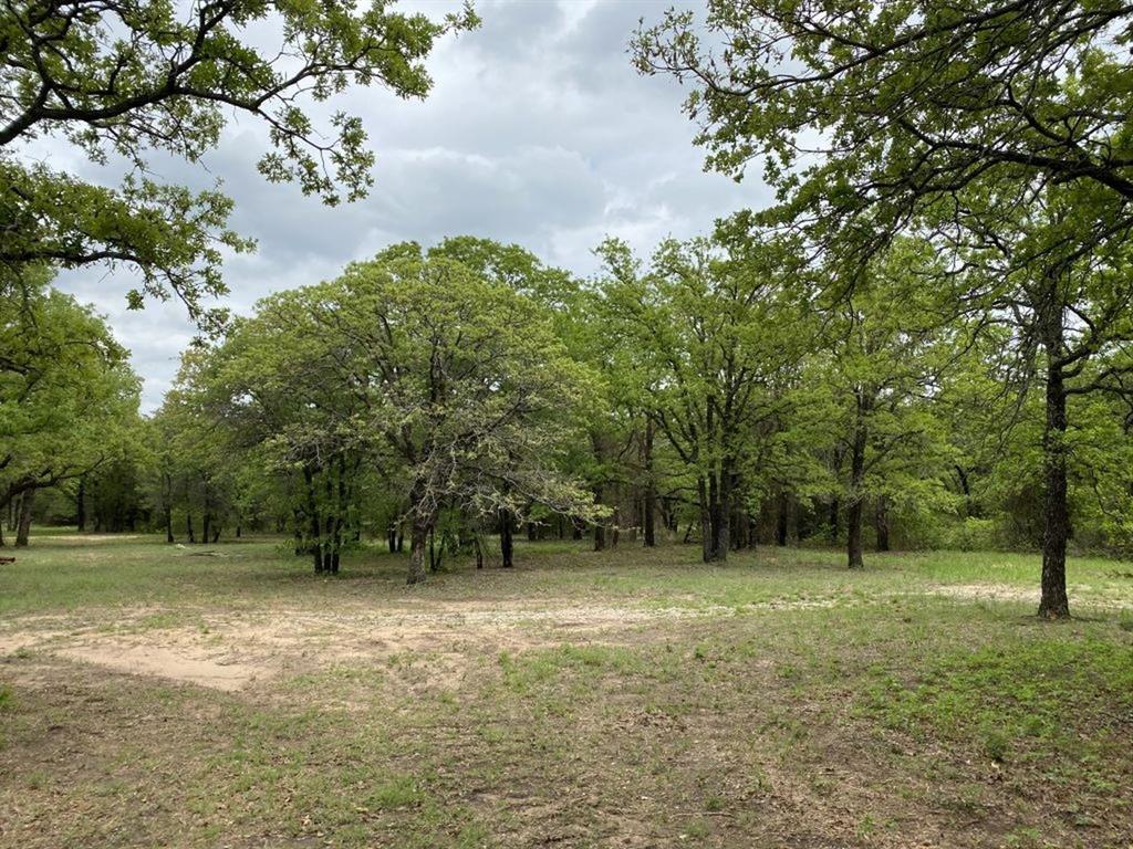 24.99 Acres, James Winn Survey, A-868 - Farm