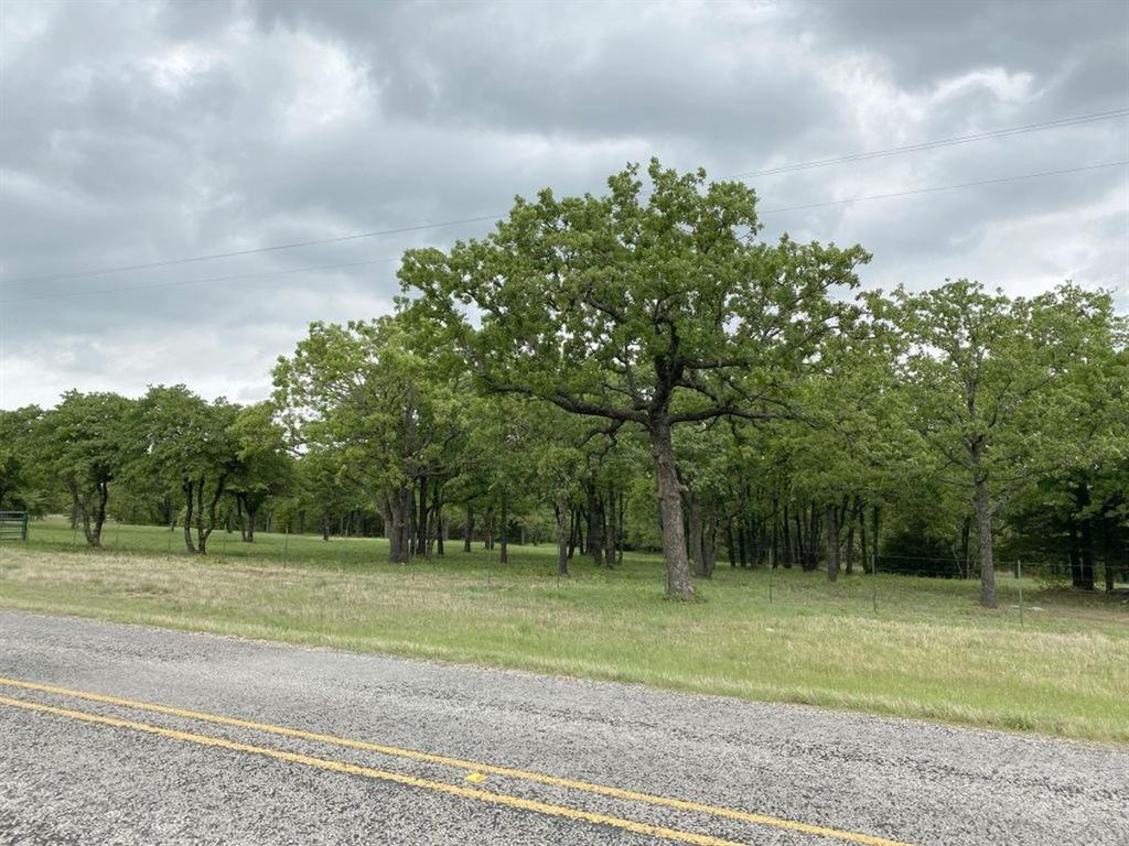 24.99 Acres, James Winn Survey, A-868 - Farm