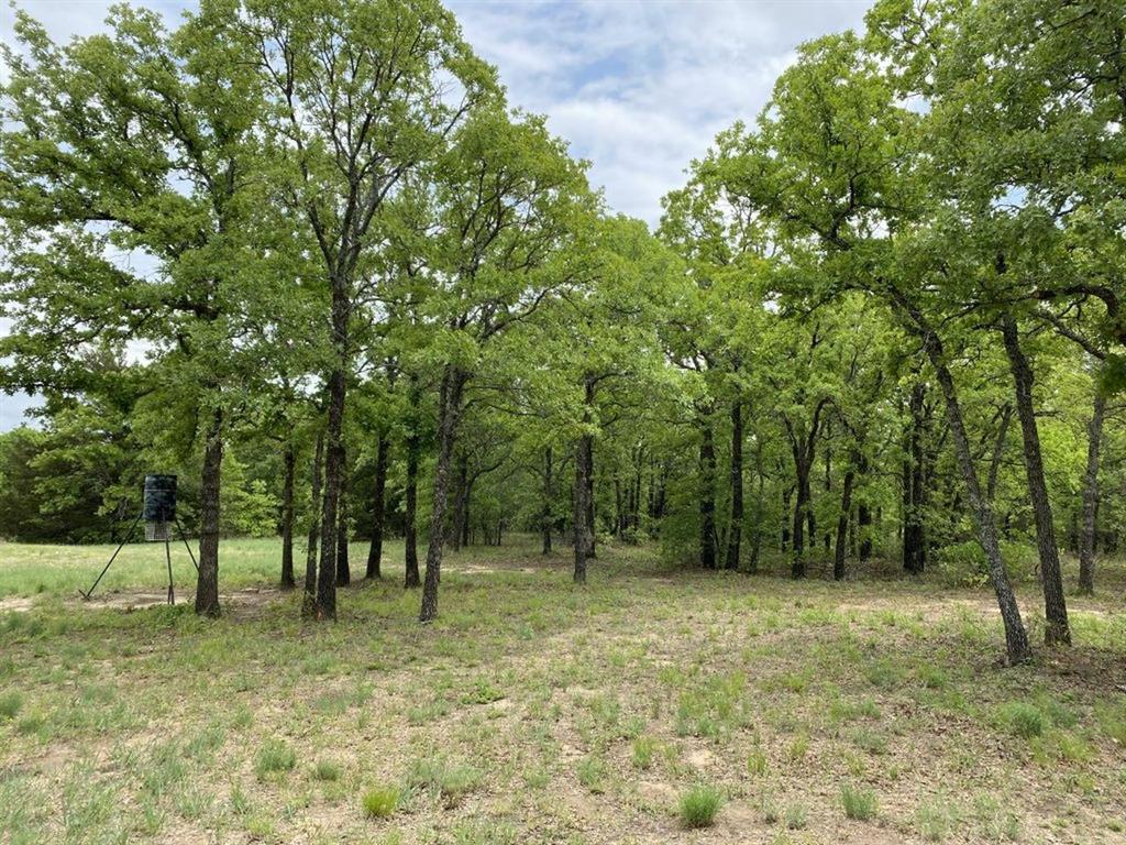 24.99 Acres, James Winn Survey, A-868 - Farm