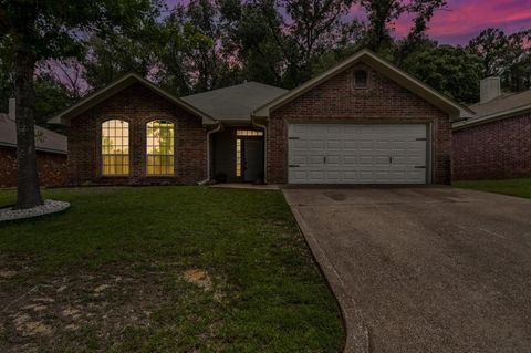 229 Maggie Circle Flint TX 75762