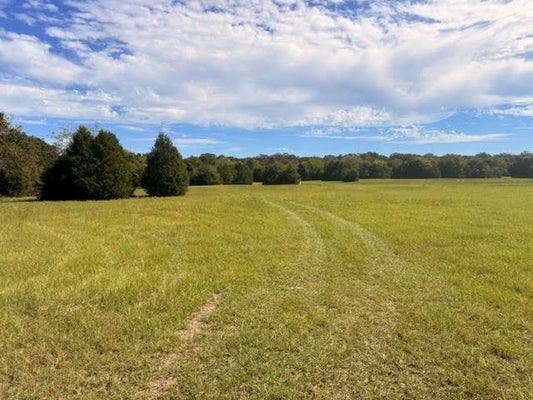 ADDRESS PRIVATE, EUSTACE, TX 75124 - Image 2a303d5fb84e057f3b2cb839f1f0e601/4224587728