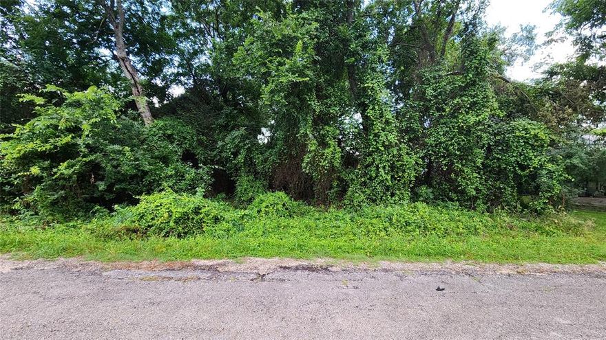 Bring your plans and your builder to this vacant lot in Sky Harbor. The Sky Harbor community is conveniently situated off of Highway 51 and offers a clubhouse, swimming pool, a park, green space, boat ramp and fishing pier.