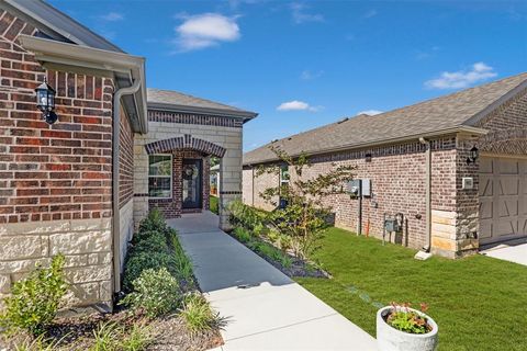 A home in Little Elm