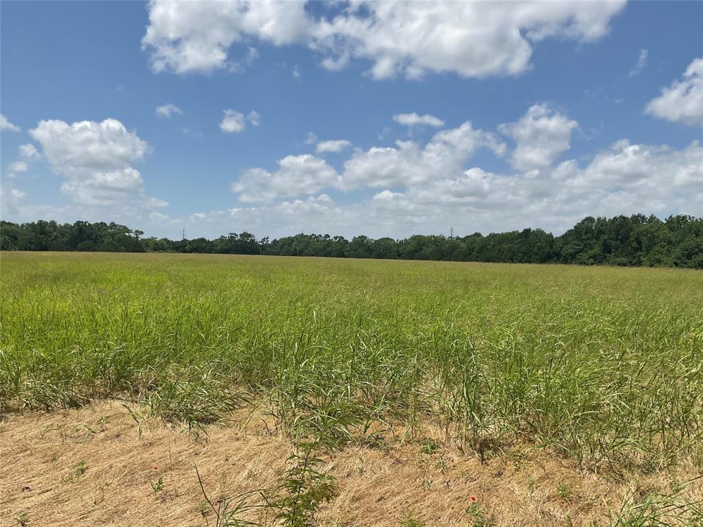TBD County Road 171