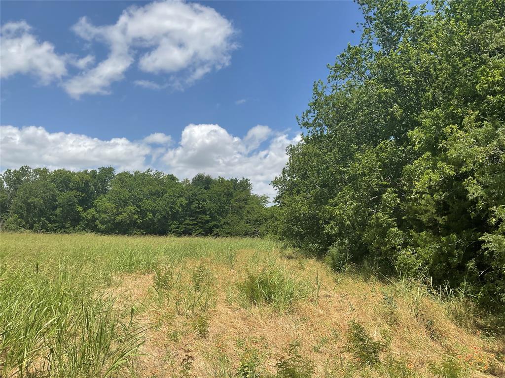 TBD County Road 171