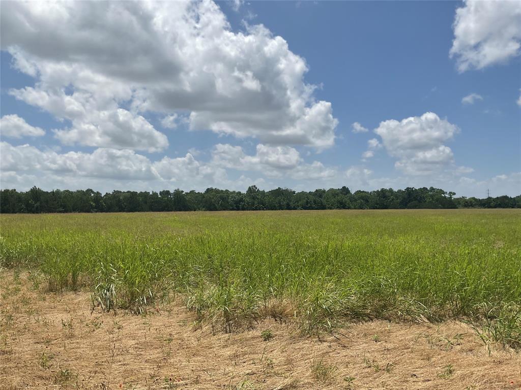 TBD County Road 171