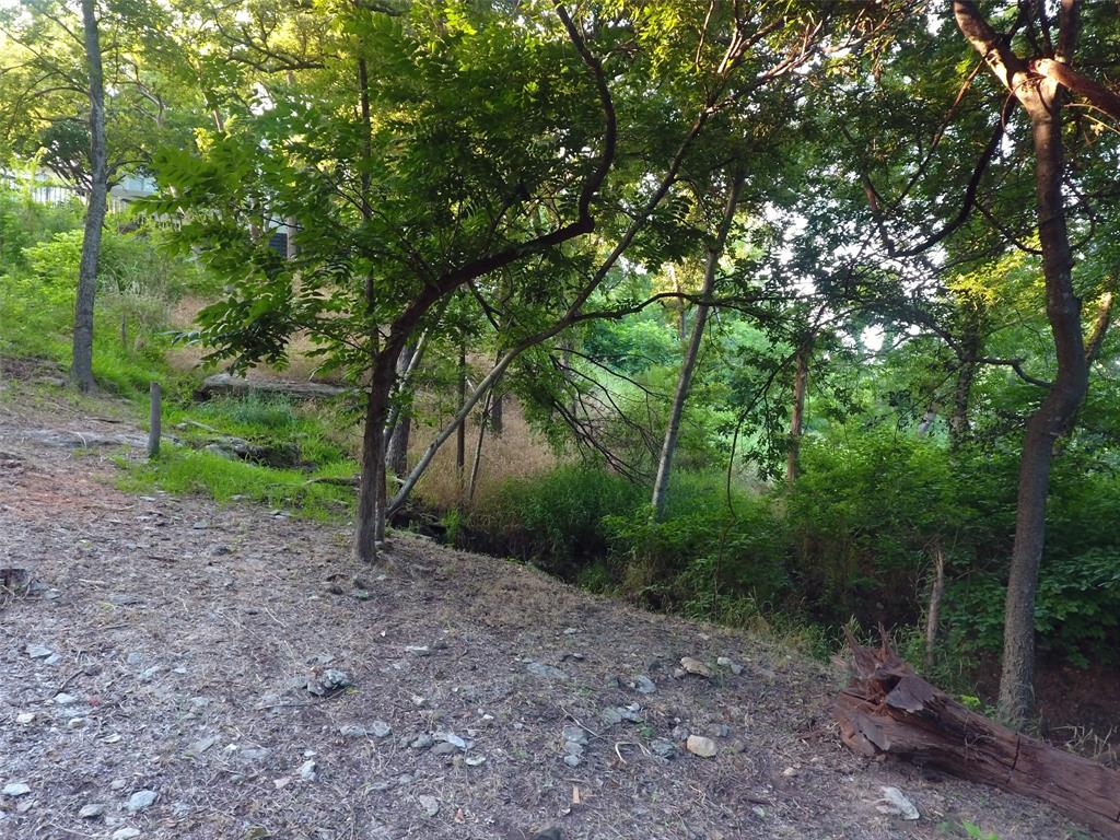 Pecan Plantation - Land