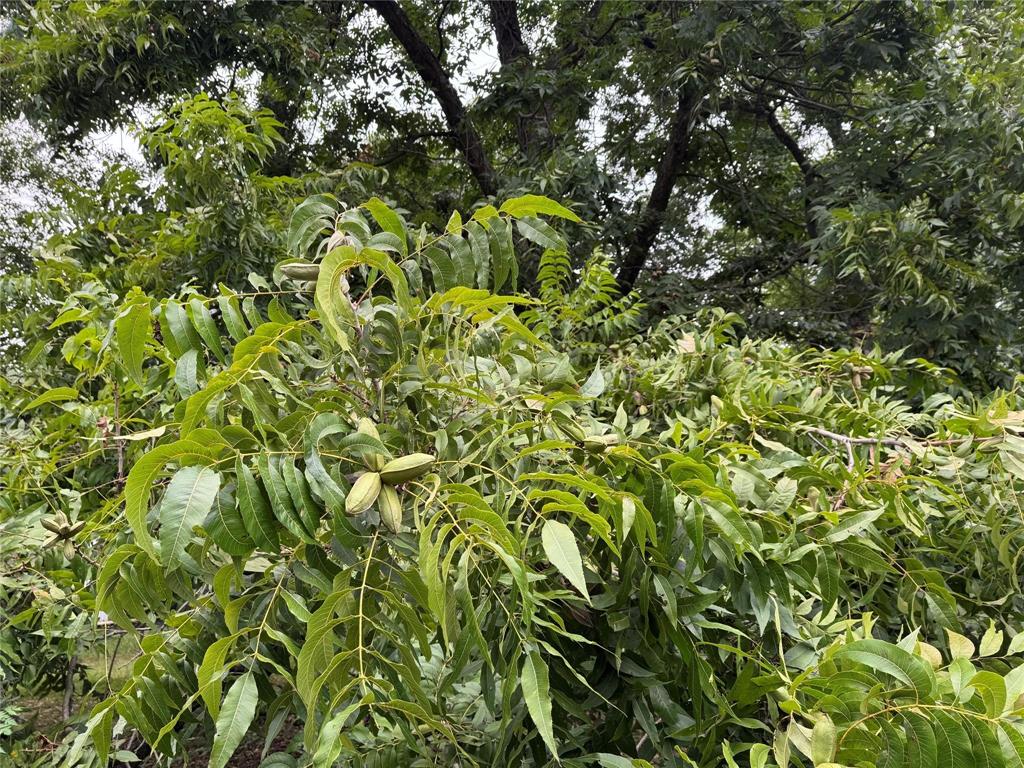 City Of Paris - Land