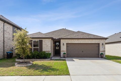 132 Plumed Thistle Drive Fort Worth TX 76131