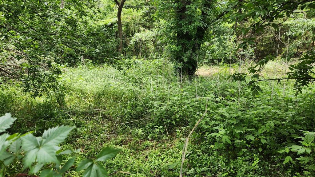 Brushy Nob - Residential