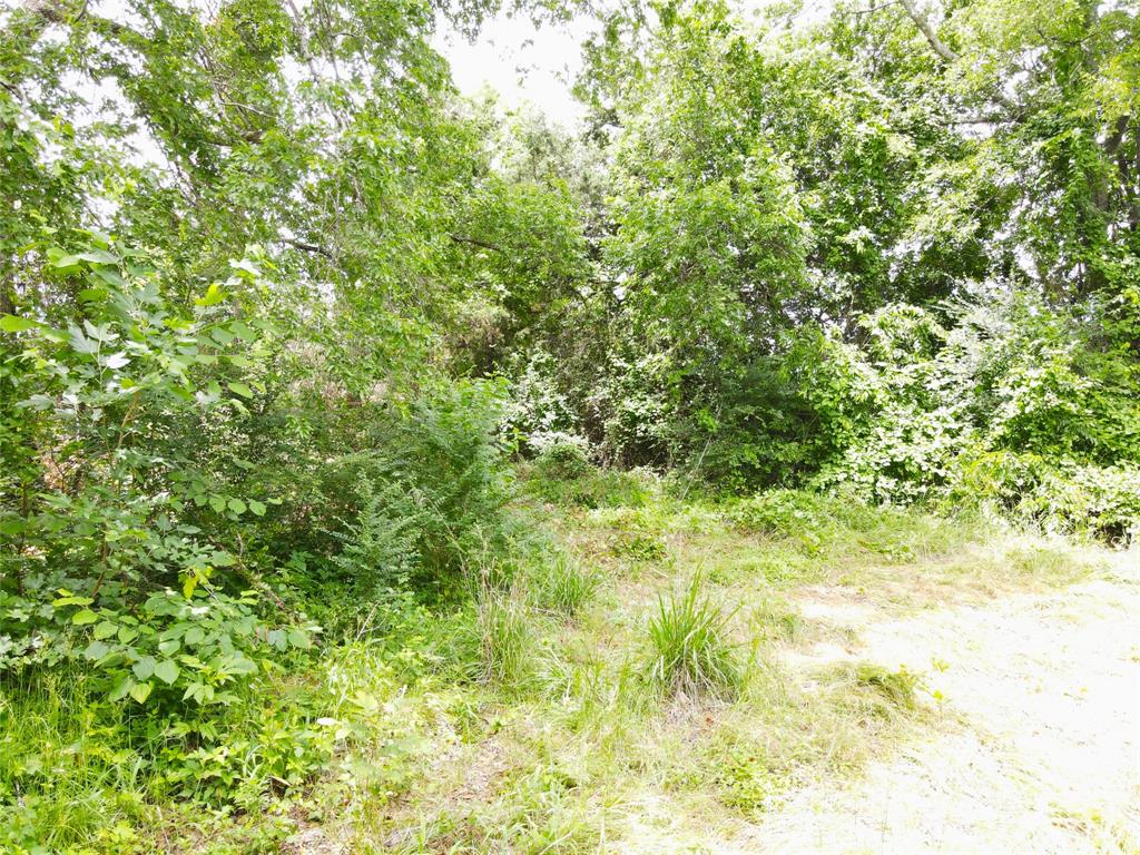 Brushy Nob - Residential