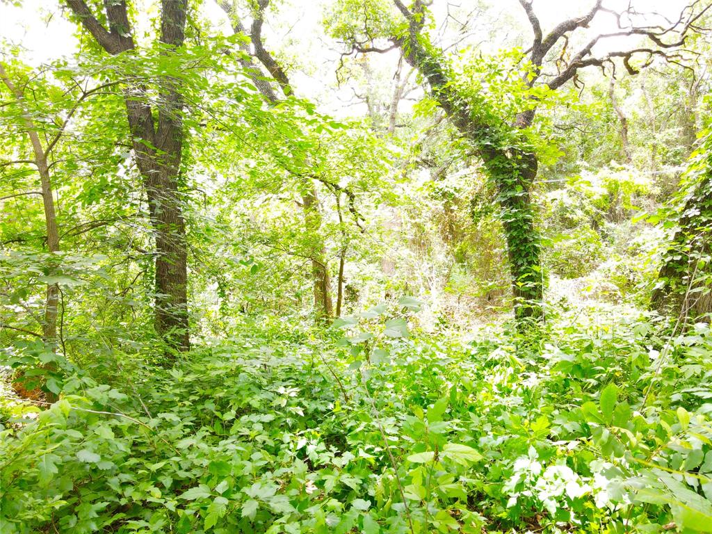 Brushy Nob - Residential