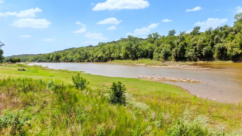 Pecan Plantation - Land