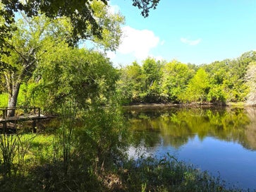 982 Lcr 131 Mount Calm TX 76673