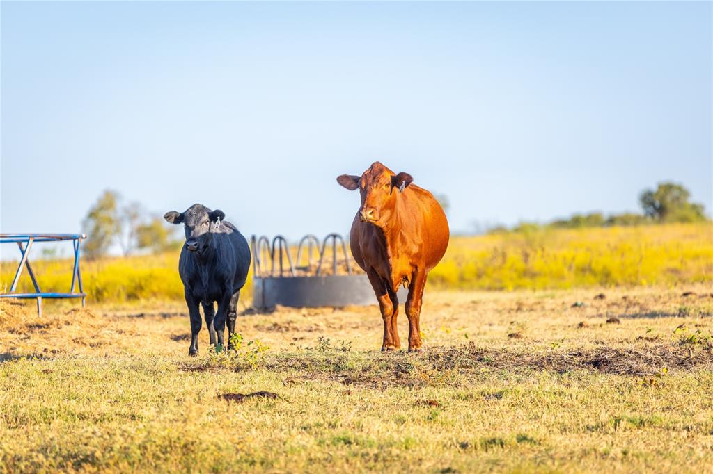 4045 County Road 212