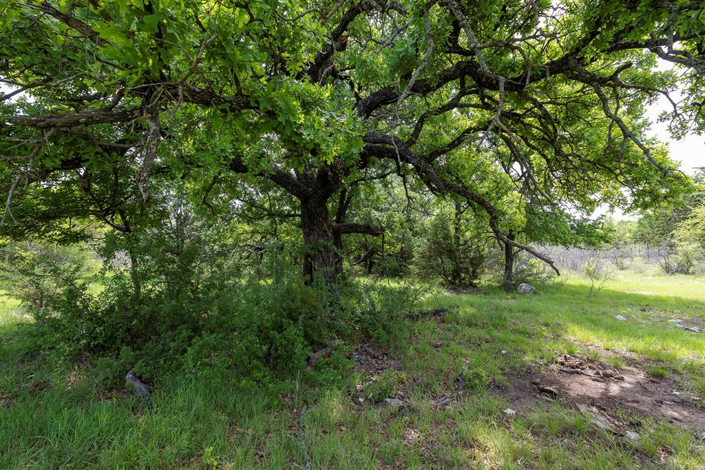 525 Jack Rabbit Circle