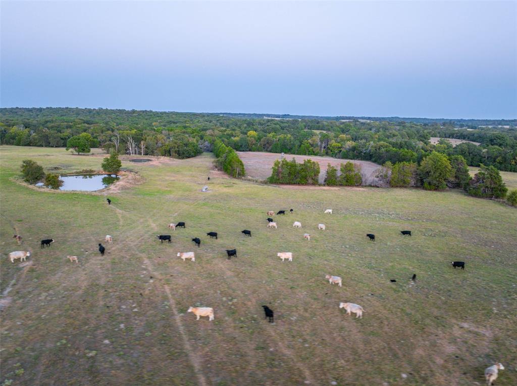 12900 County Road 2803