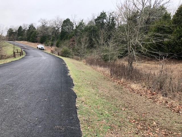 The Wilderness - Land