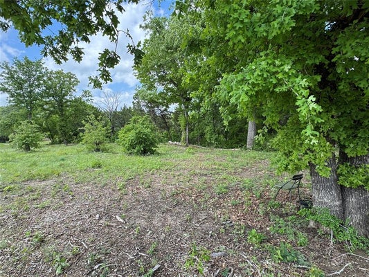 1017 CEDAR HILL DR, NEMO, TX 76070 - Image 2aed583f3d1cc7de55ef2fe1f92a4858/1034810234