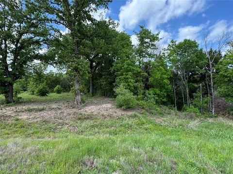 1017 Cedar Hill Drive Nemo TX 76070