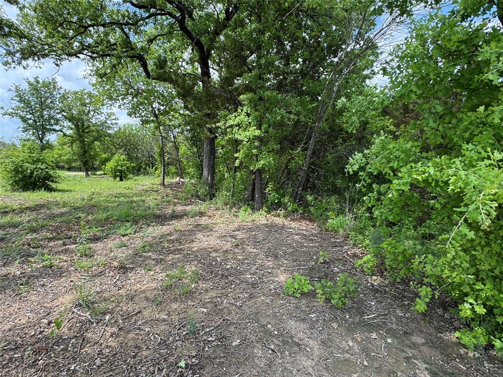 1017 Cedar Hill Drive