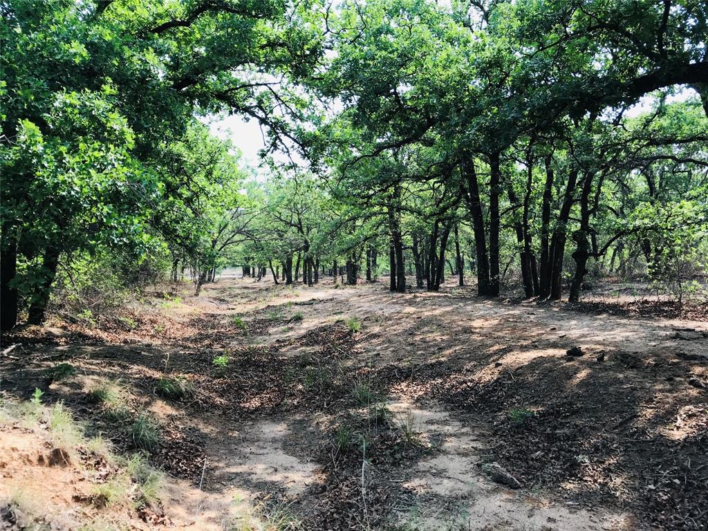 A Winfrey 548 - Farm