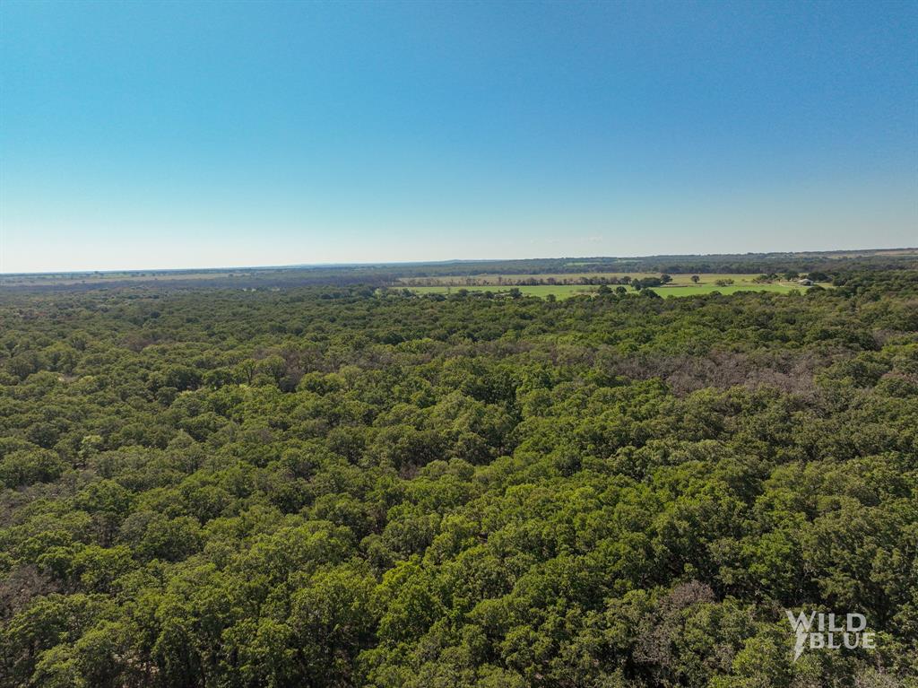 A Winfrey 548 - Farm