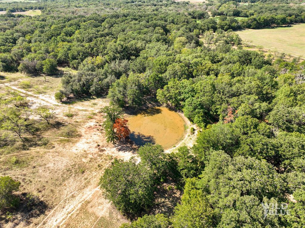 A Winfrey 548 - Farm