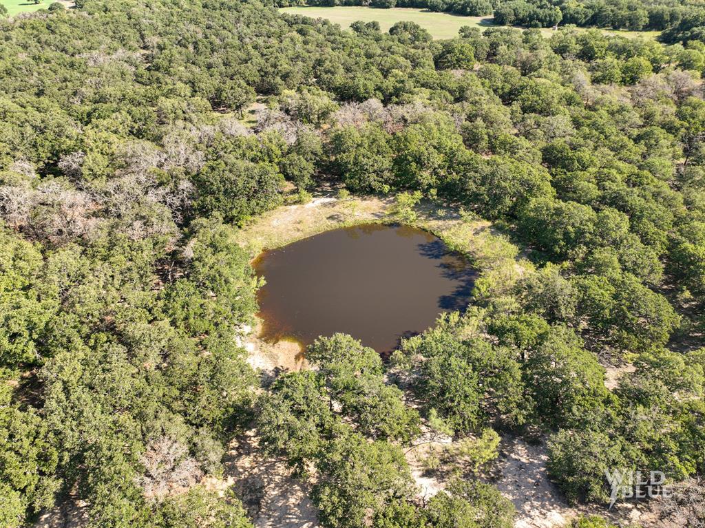 A Winfrey 548 - Farm