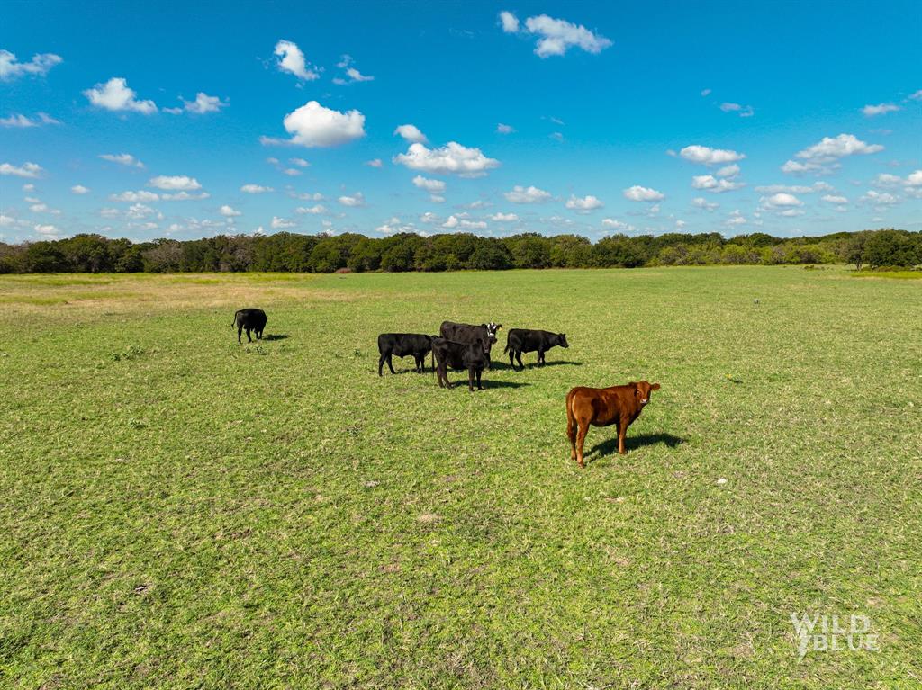 A Winfrey 548 - Farm